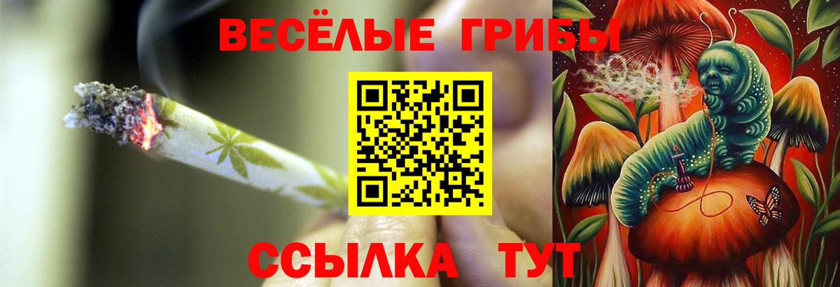 Карпинск  Галлюциногенные грибы мицелий  Вход с VPN 